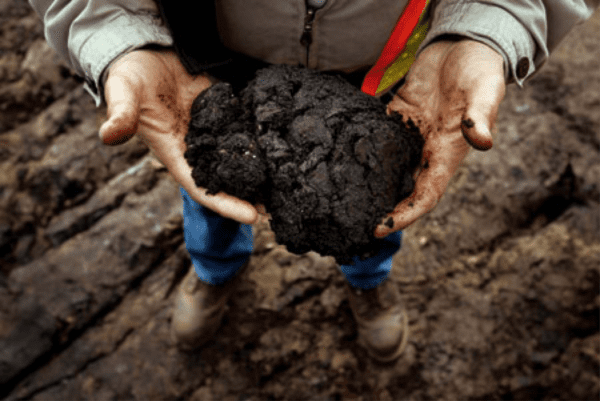 Oil Sands Innovation