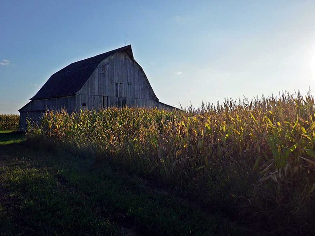 corn bin illinois
