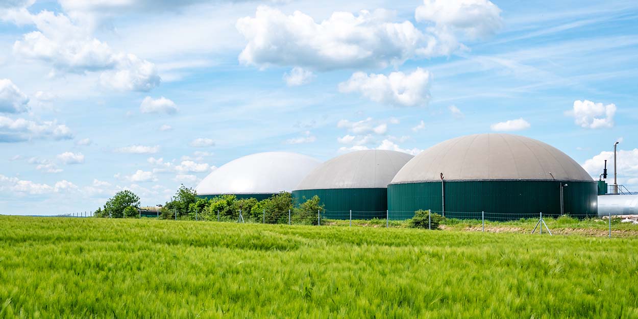 anaerobic digester