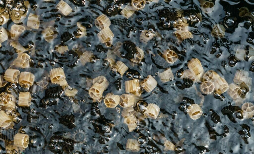 moving bed biofilm reactor